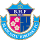 布兰迪厄广崎logo