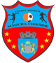 西斯纳迪女足logo