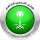 沙地阿拉伯B隊logo