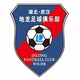 武汉三峡地龙室内足球队logo