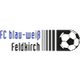 BW费尔德基希logo