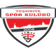 特斯维基亚logo