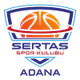 塞尔塔logo