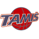 塔米斯logo