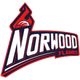 诺伍德火焰女篮logo