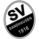 桑德豪森B队logo