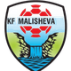 马利舍瓦logo