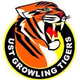 UST猛虎logo