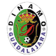瓜达拉哈拉迪纳摩女足logo