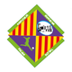 帕尔马室内足球队logo