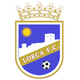 洛卡女足logo