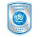 尼科尔诺里尔斯克室内足球队logo