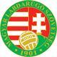 匈牙利女足logo