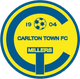 卡尔顿镇logo
