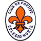 CD弗洛尔德女足logo