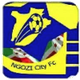 恩戈齐城俱乐部logo