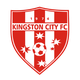 金士顿城logo