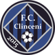克林西尼logo