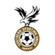 南方体育联盟logo