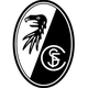 弗赖堡女足logo