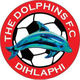 海豚足球俱乐部logo