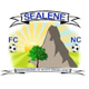 海琳女足logo