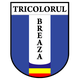 布雷萨logo