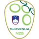 斯洛文尼亚U18logo