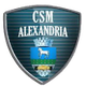 亚历山德里亚logo