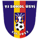 索科乌兹提logo
