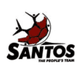 开普敦桑托斯logo