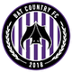 国民FC女足logo