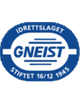 格耐斯特logo