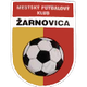 扎尔诺维察logo