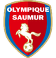 索米尔logo