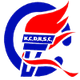 龙城康体logo
