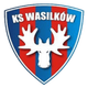 瓦西里科夫logo