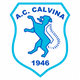 加尔维纳体育logo