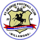圣乔治维莱后备队logo