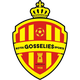 戈斯利体育logo