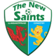 新圣徒女足logo