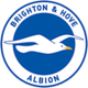 布莱顿女足logo