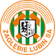卢宾扎格勒比B队logo