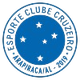 阿拉皮里logo