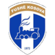 福什科索瓦logo