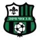 佐菲海法logo