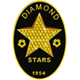 钻石星尘logo