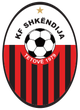 斯肯迪亚女足logo