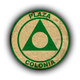 佩莱扎后备队logo