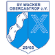 SV瓦塔logo